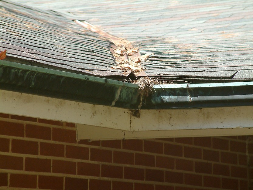 gutter replacement