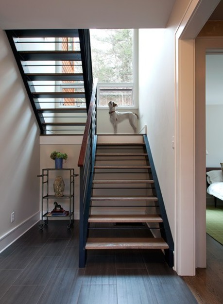 4 Kinds Of Pet Friendly Flooring You Ll Drool Over
