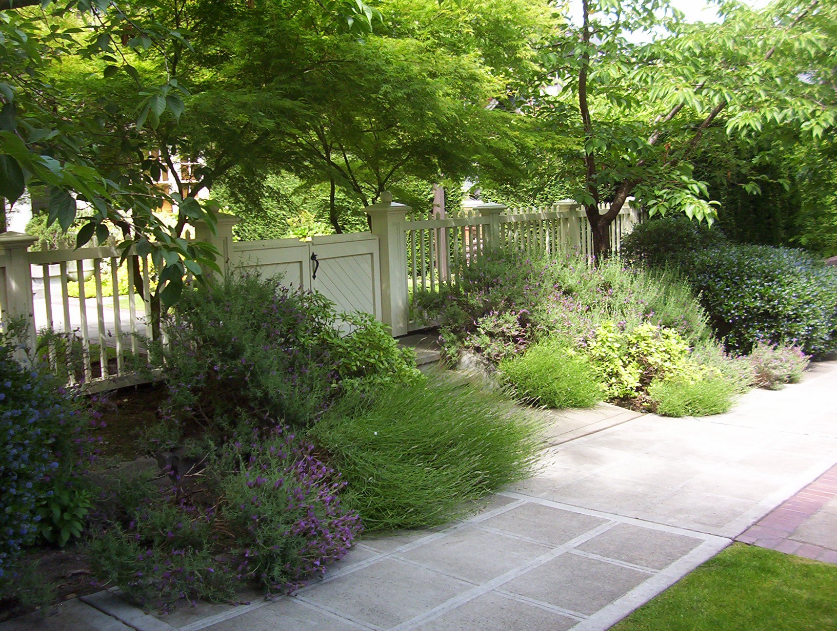 12 Inspiring Ideas for a Lawn-Free Landscape - Porch Advice