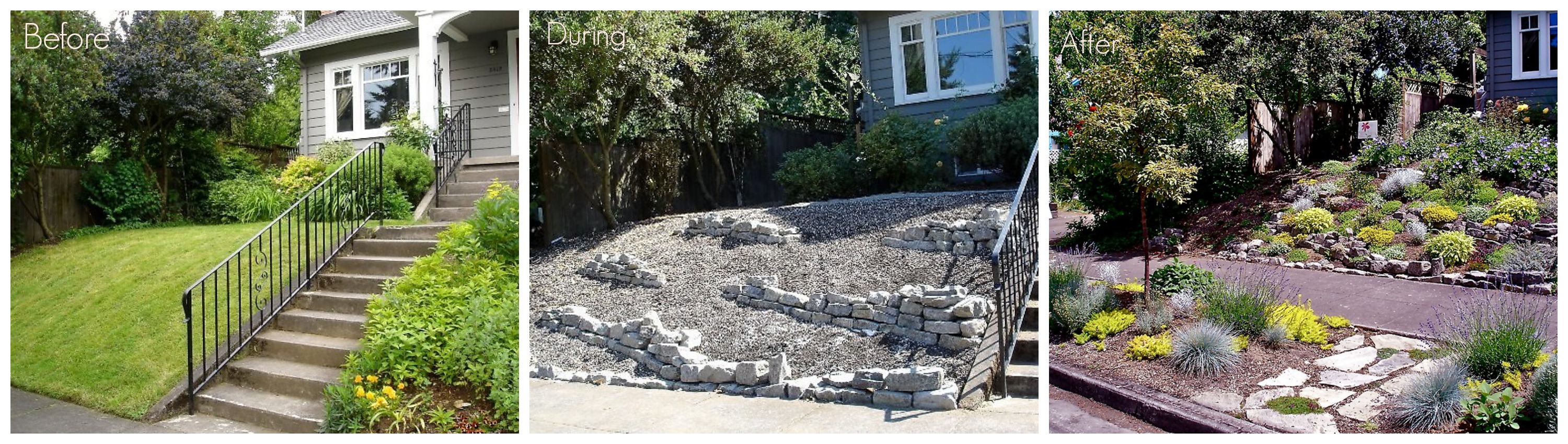 drought tolerant before and after.jpg