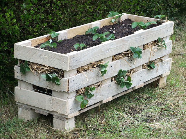 Lovely Greens - pallet planter box