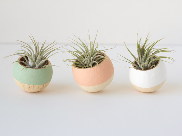 Lovely Indeed DIY succulent pot planters