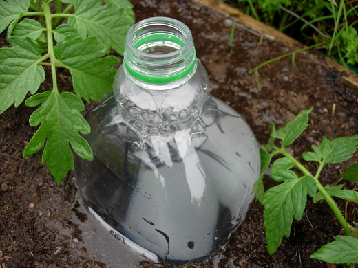 Provident Living - water bottle drip irrigation diy