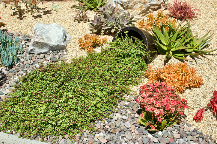How To Create A Drought Tolerant Landscape, Cost To Install Drought Tolerant Landscaping