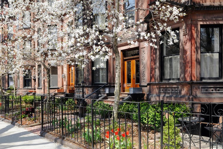 Victorian brownstone apartments and white star magnolia trees blooming in early spring. Back Bay, Boston.