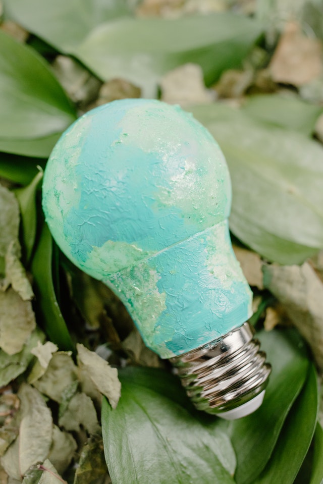 Clean Environment lightbulb