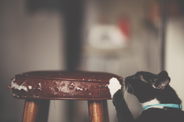 Stool with a cat image 