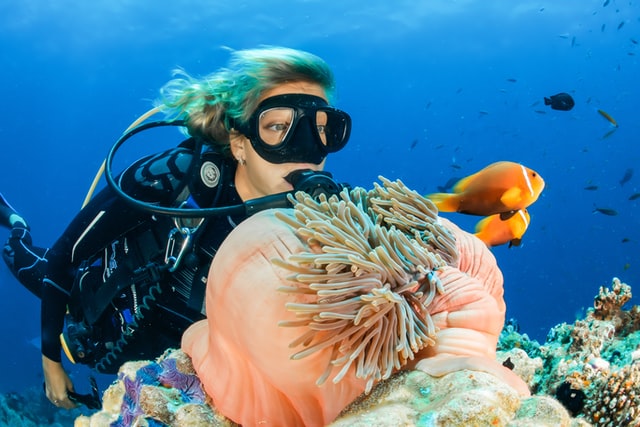 Scuba Diving 101: How To Adapt To Different Diving Environments