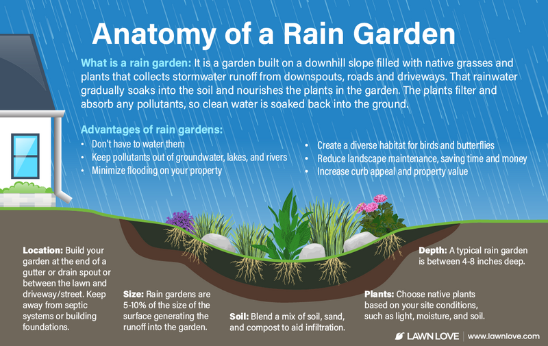 Expert Advice: 9 Tips for Healthy Plants During Monsoon