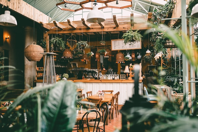 Bohemian coffee shop surrounded by plants 